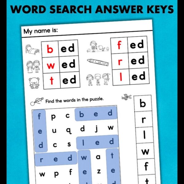 cvc word searches