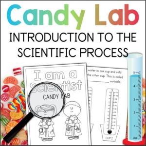 candy lab scientific process activity