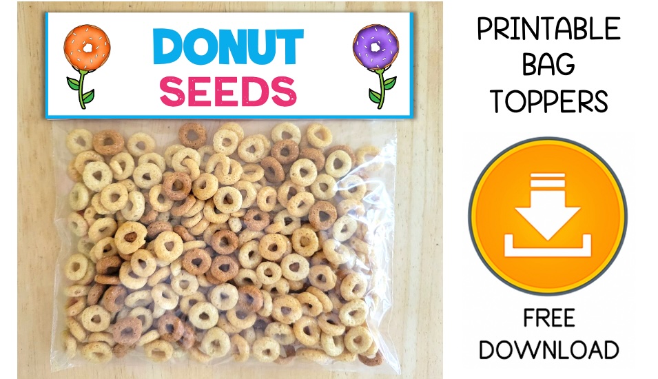 donut seeds