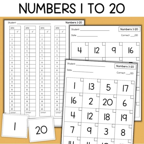 number recognition assessments