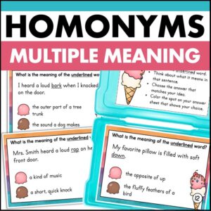 homonyms task cards