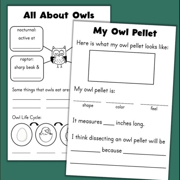 owl pellet lab journal