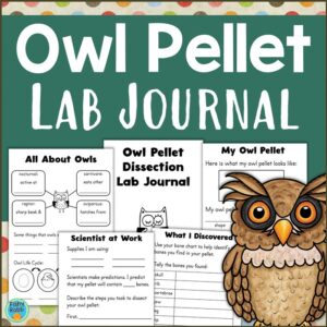 owl pellet dissection lab journal